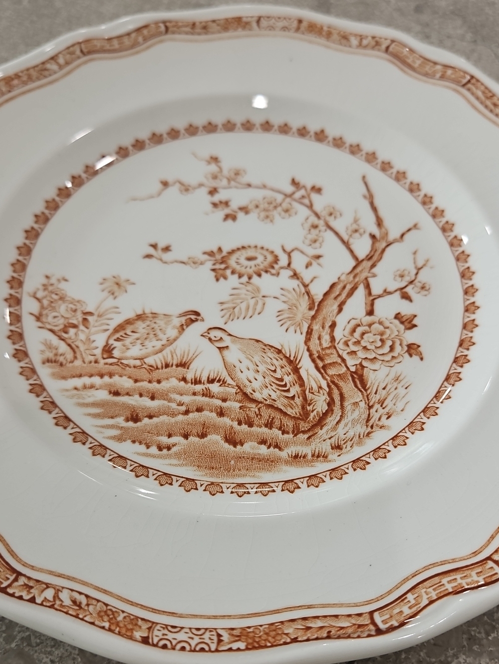 Vintage Furnivals Quail Classic Brown Plate - White and Brown Made In England